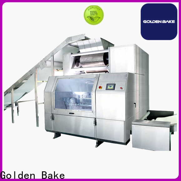 Golden Bake biscuit manufacturing process britannia solution for dough processing