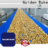 Golden Bake professional vertical packing machine manufacturers for normal cooling conveying