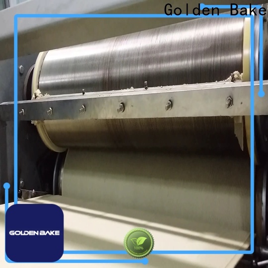 Golden Bake cookie making machine india factory for dough processing
