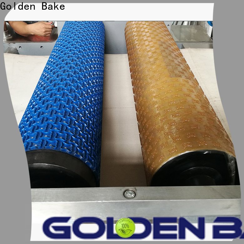 Golden Bake durable biscuit manufacturing business supply for dough processing