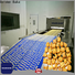 Golden Bake biscuits manufacturing machinery suppliers for letter biscuit making