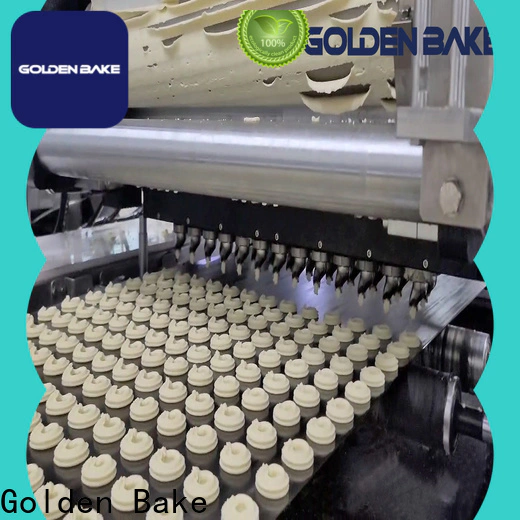 Golden Bake cookie dough machine solution for cookies processing
