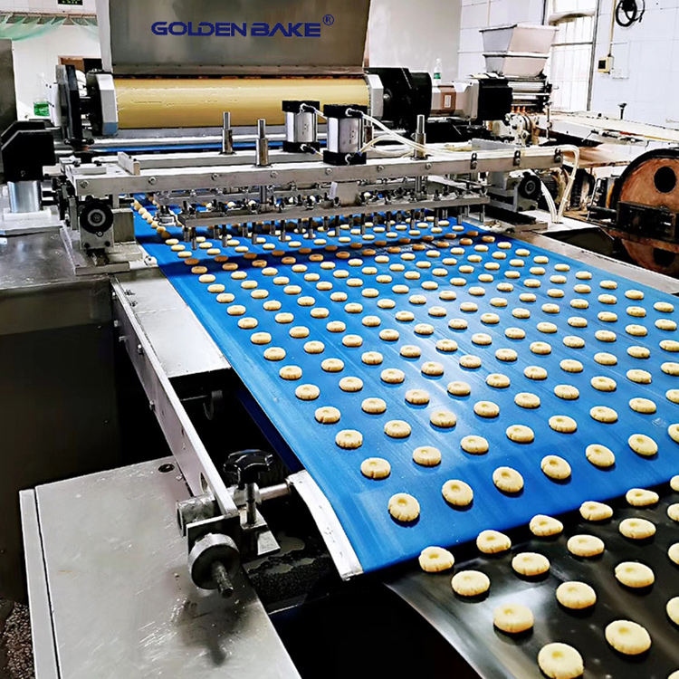 Golden Bake biscuit making machinery manufacturers supply for forming the dough-1