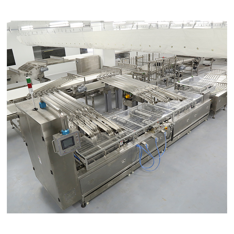 Golden Bake automation system factory for biscuit making-1