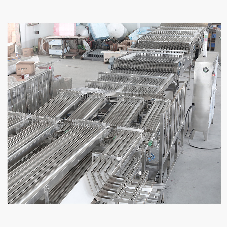 Automation system after baking automatic biscuit making machine