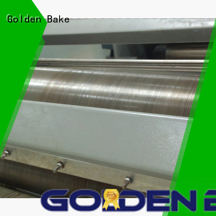 Golden Bake top quality rotary moulder solution for biscuit material forming
