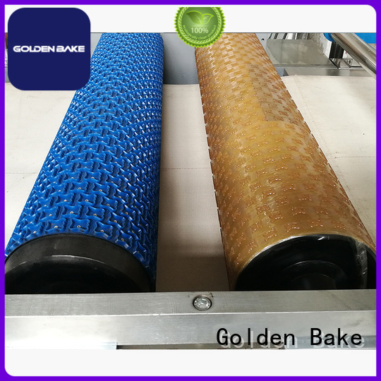 Golden Bake cookie making machine factory for dough processing