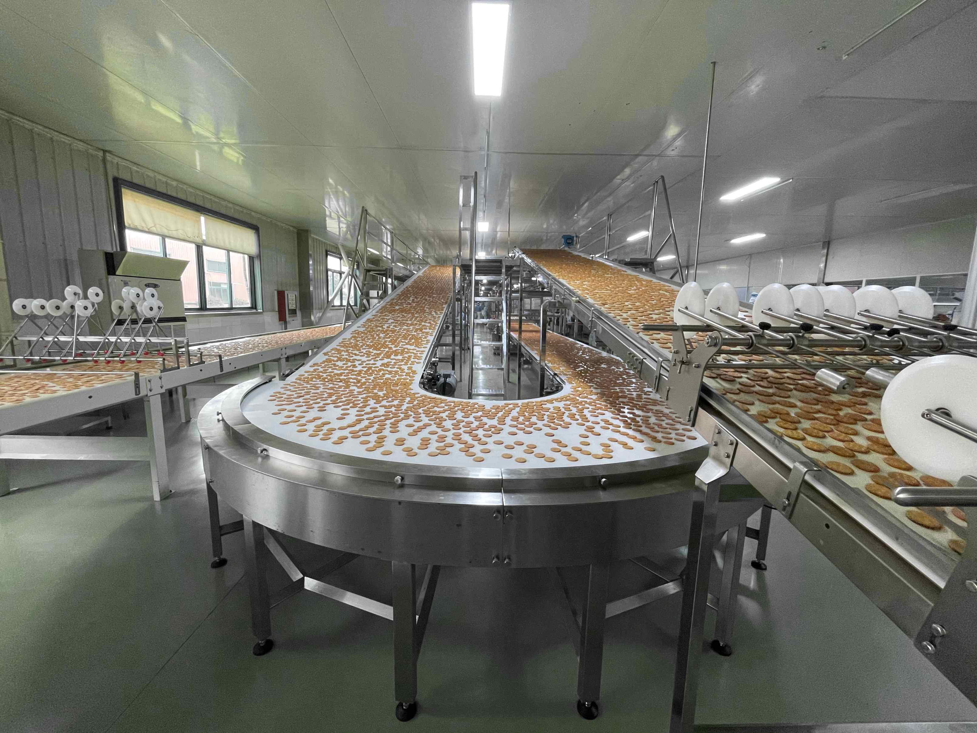 biscuit cooling conveyor system