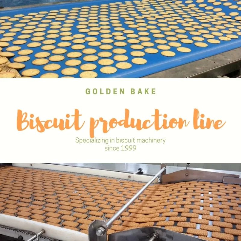 Golden Bake Production Line with Golden Service