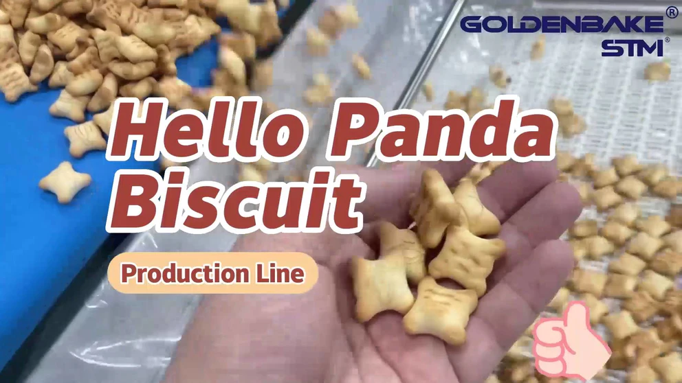 Bear Shape Hello Panda Biscuit Production Line - Turnkey Project