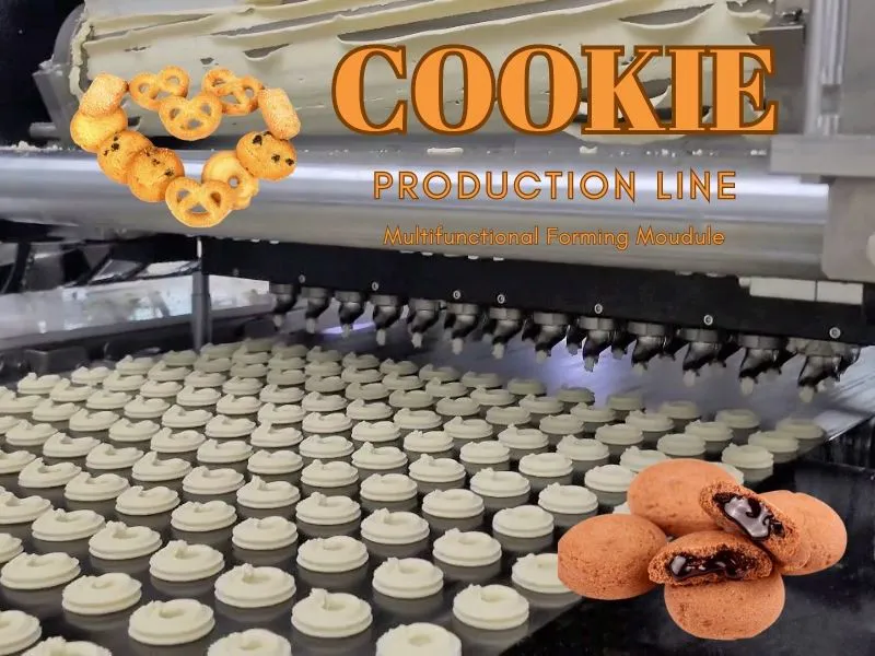 Cookie Production Line with Mutifuntional Forming Module